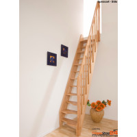 Raumspartreppe Spessart 15 Steigungen Fichte/Buche/Birke