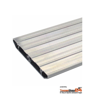 Außentreppe AluStep 210  Breite 75 cm