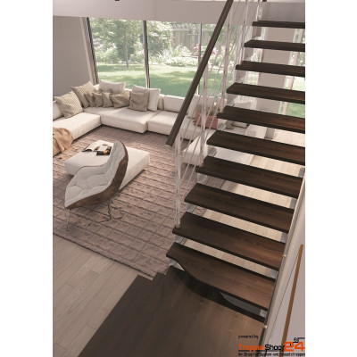 Stahlwangentreppe Composity Minimal B74 cm