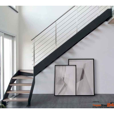 Stahlwangentreppe Ibisco D Fascia als...